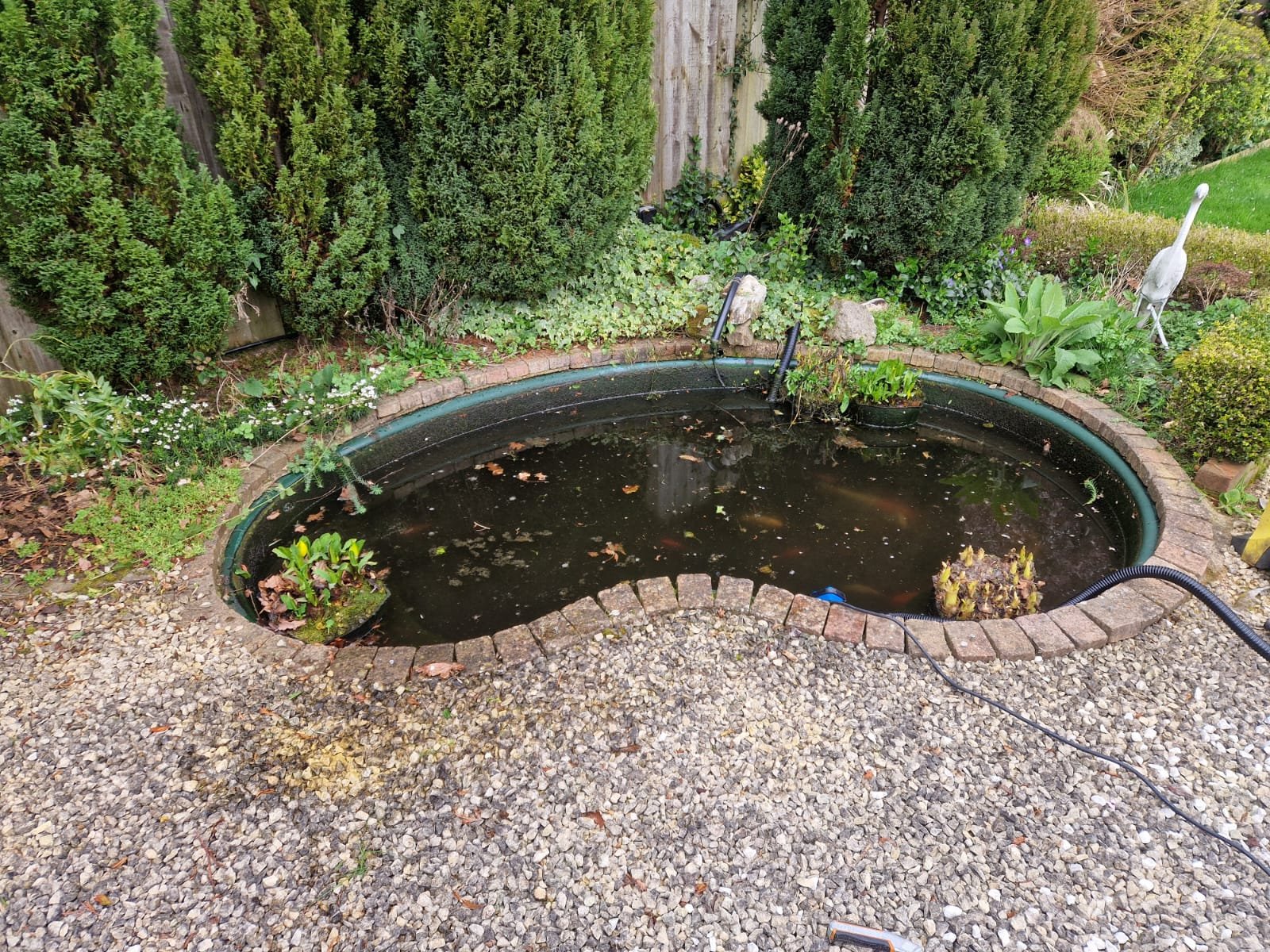 Pond before clean